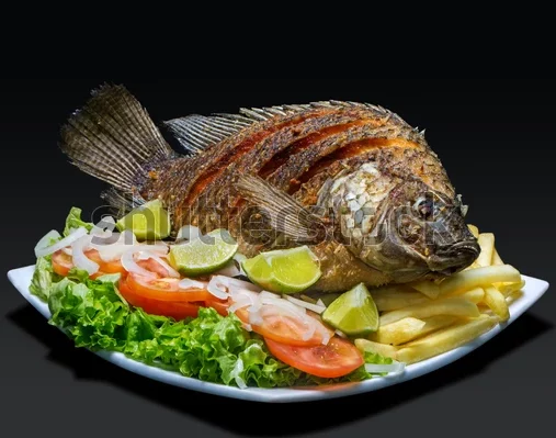 Fritte+salade au poisson
